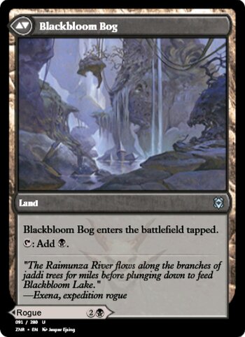 Blackbloom Rogue