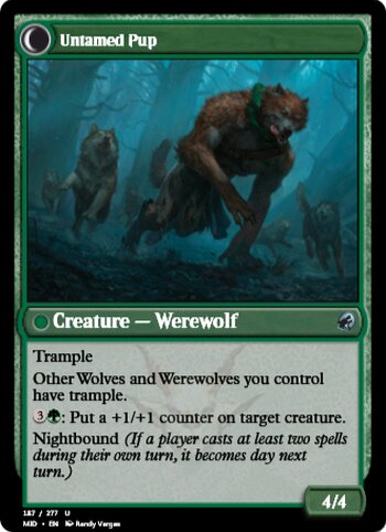 Hound Tamer