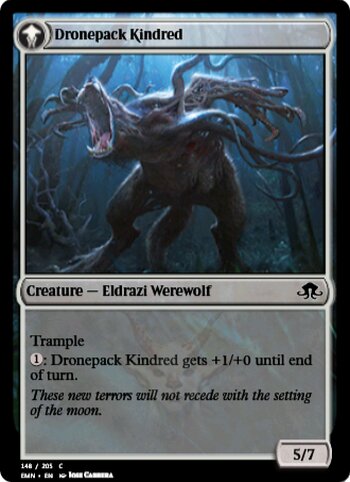 Vildin-Pack Outcast