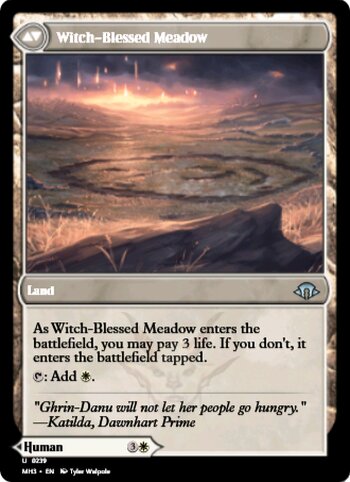 Witch Enchanter