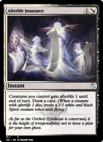 Afterlife Insurance