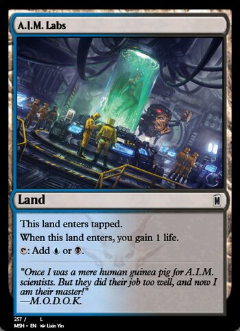 A.I.M. Labs