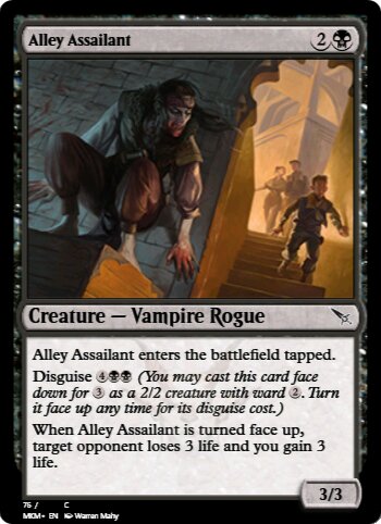 Alley Assailant