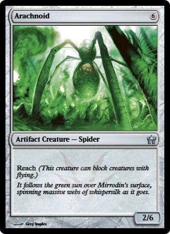 Arachnoid