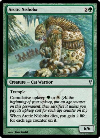 Arctic Nishoba