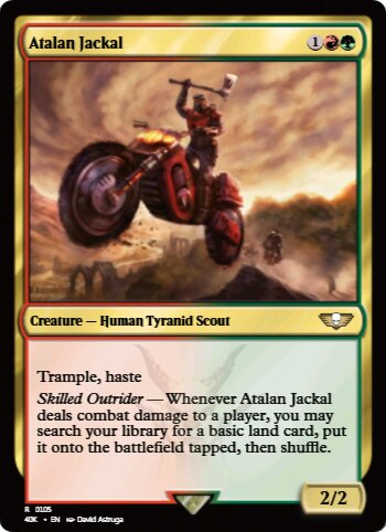 Atalan Jackal