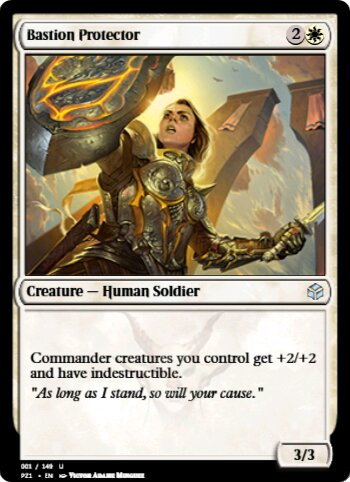 Bastion Protector