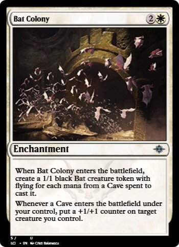 Bat Colony