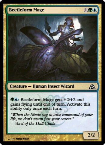 Beetleform Mage
