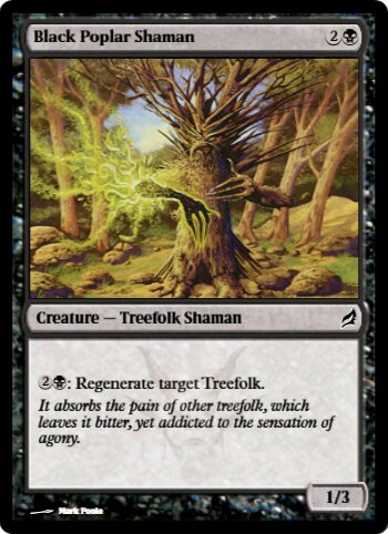 Black Poplar Shaman