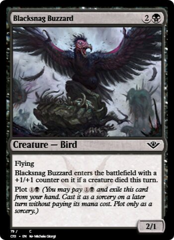 Blacksnag Buzzard