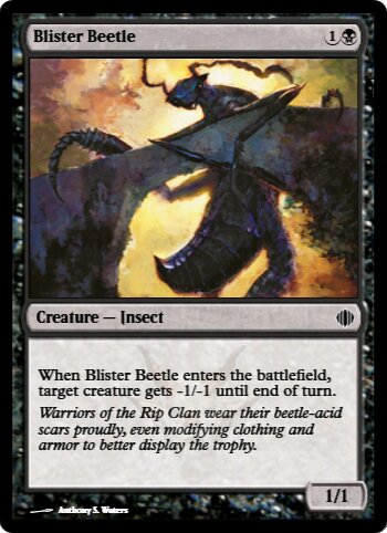 Blister Beetle