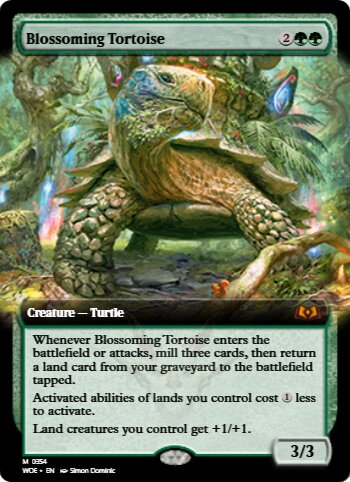 Blossoming Tortoise