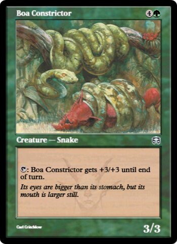 Boa Constrictor