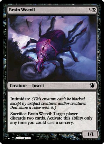 Brain Weevil