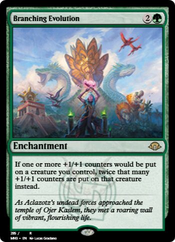 Branching Evolution