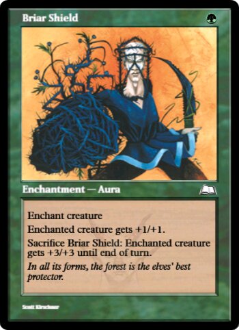 Briar Shield