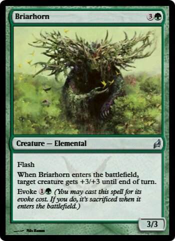 Briarhorn