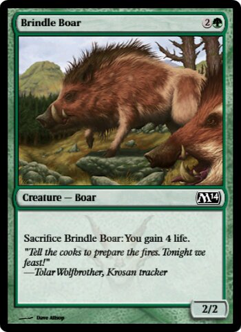 Brindle Boar