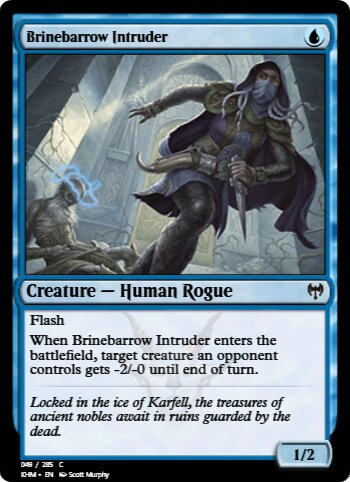 Brinebarrow Intruder