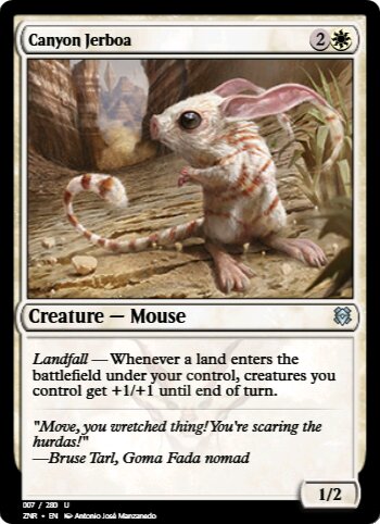 Canyon Jerboa