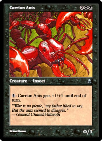 Carrion Ants
