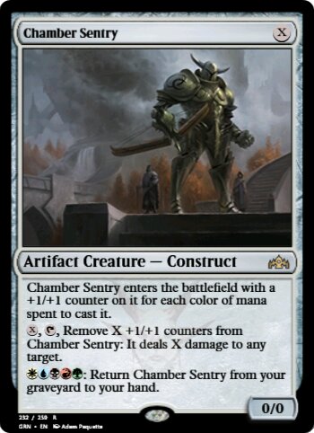 Chamber Sentry