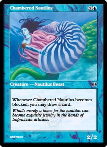 Chambered Nautilus