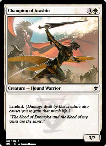 Champion of Arashin