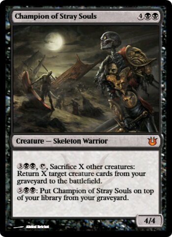 Champion of Stray Souls