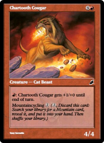 Chartooth Cougar