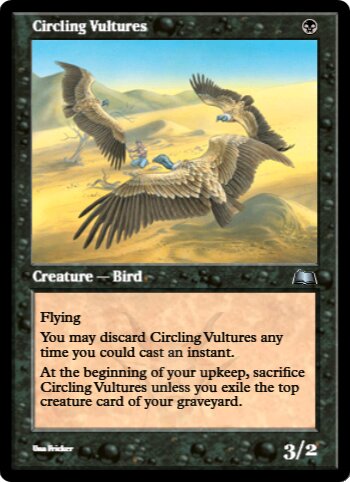 Circling Vultures