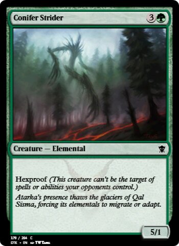 Conifer Strider