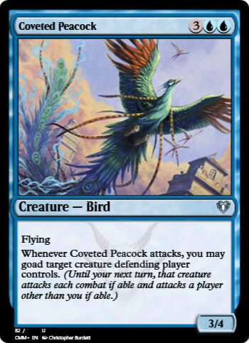 Coveted Peacock