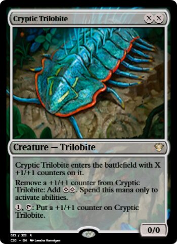 Cryptic Trilobite