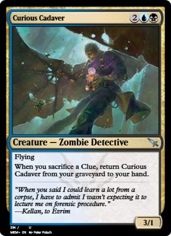 Curious Cadaver