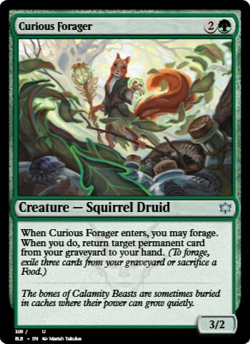 Curious Forager