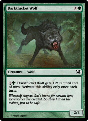 Darkthicket Wolf