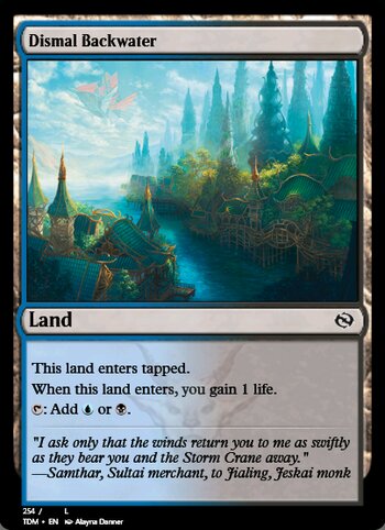 Dismal Backwater