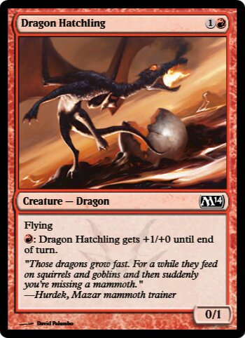 Dragon Hatchling