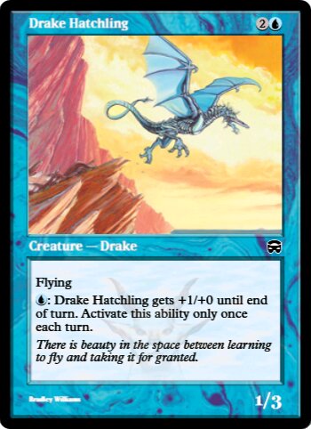Drake Hatchling