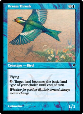 Dream Thrush