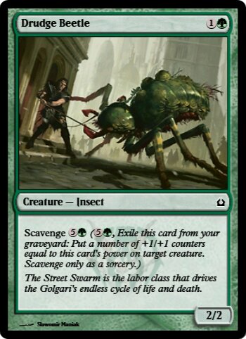 Drudge Beetle