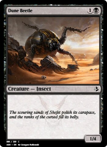 Dune Beetle