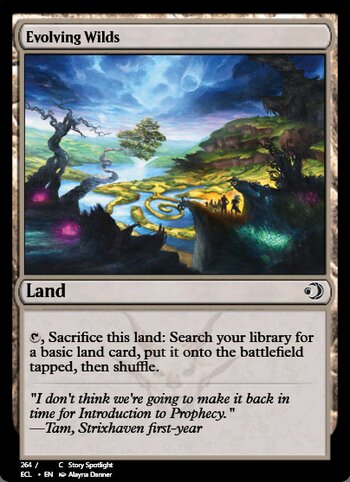 Evolving Wilds