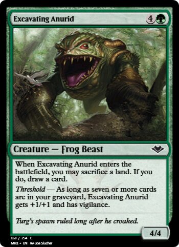 Excavating Anurid