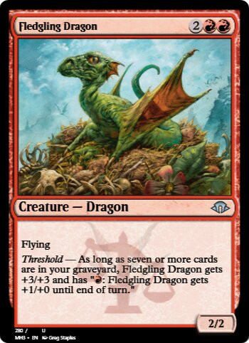 Fledgling Dragon
