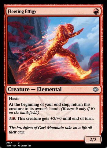 Fleeting Effigy