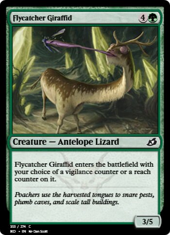 Flycatcher Giraffid