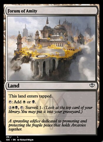 Forum of Amity